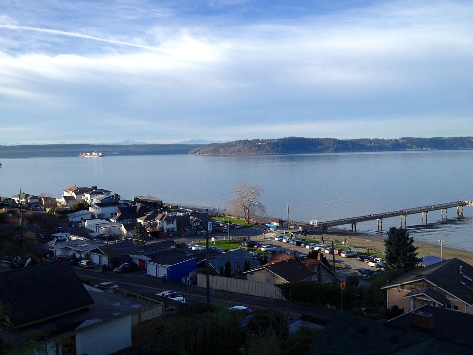 Dash Point