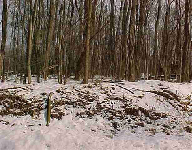 1st image of EDDY Street