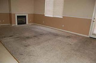2nd image of 1339 Shearwater Dr