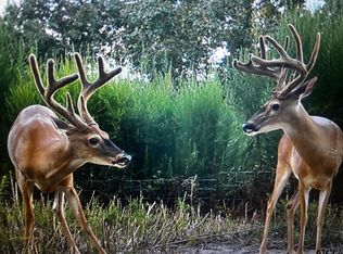 Off Fm #2781, Kennard, TX 75847