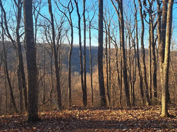 568 Cumberland Cove Rd, Monterey, TN 38574