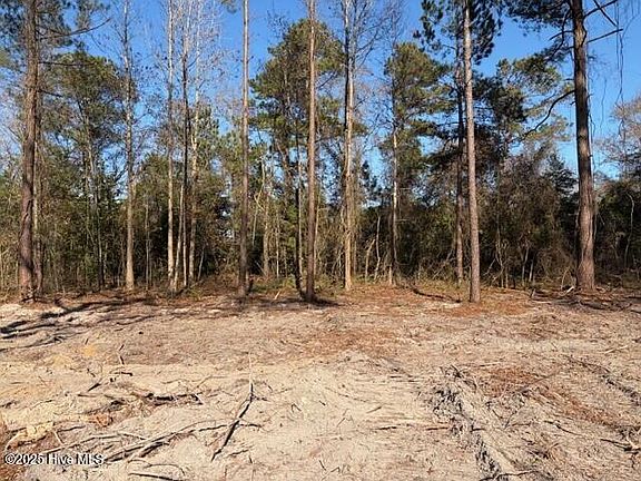 3rd image of 4401 Smith Trail NE LOT L-B-1