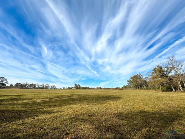 1 Liberty Rd, Jefferson, TX 75657
