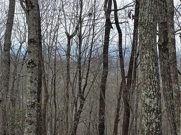 5th image of 35AC Ducks Nest Rd
