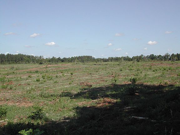 looking northwest on east side