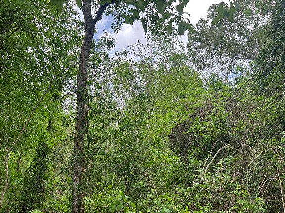 4th image of 0 Cemetery Rd