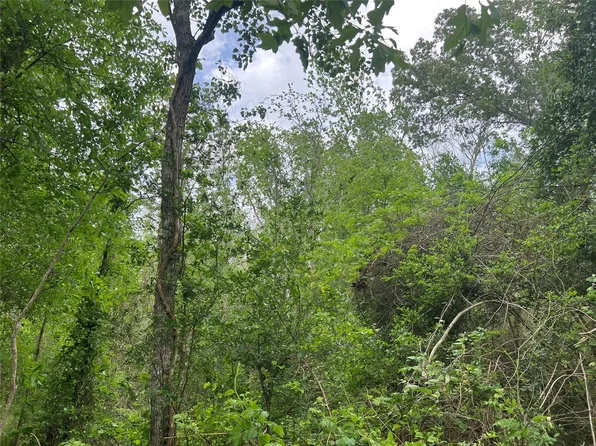 0 Cemetery Rd, Liberty, TX 77575