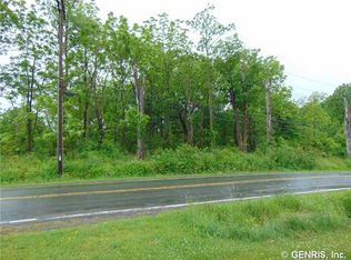 10510 Hammondsport Wayne Rd, Dundee, NY 14837