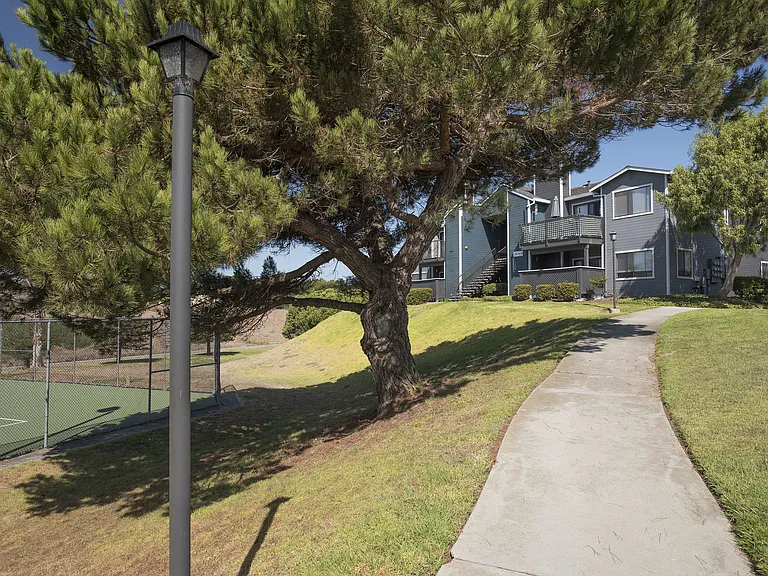 Cypress Creek — Photo 27
