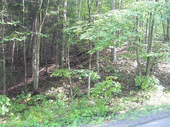 2nd image of Sloan Hill Rd