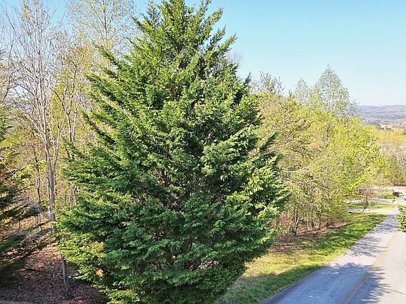 4th image of 0 Summit Way Lot 109