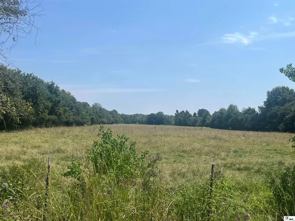 279 E Chickasaw Loop, Oak Grove, LA 71263
