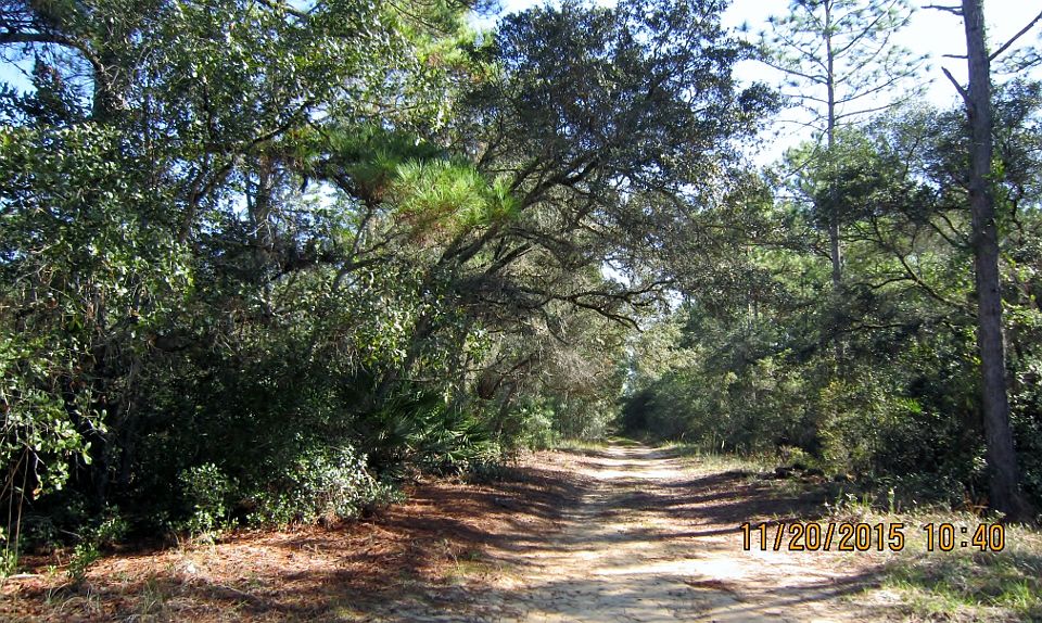 1st image of 204 Hilltop Trl