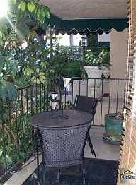 3rd image of 1010 Palm Ave APT 101