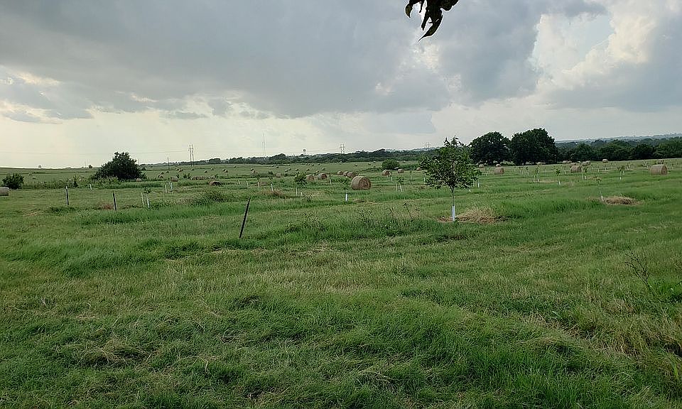 1st image of 1617 County Road 151
