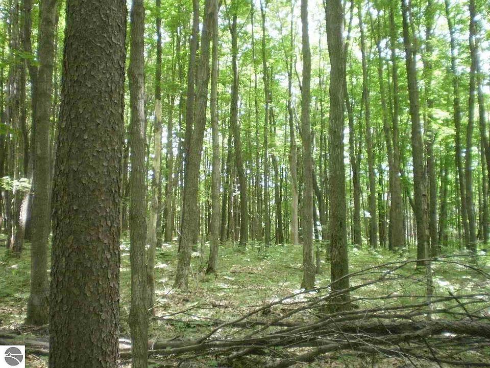 1st image of 0 Deermount Trl