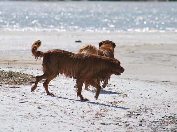 5th image of LOT 14 Hidden Ridge Rd