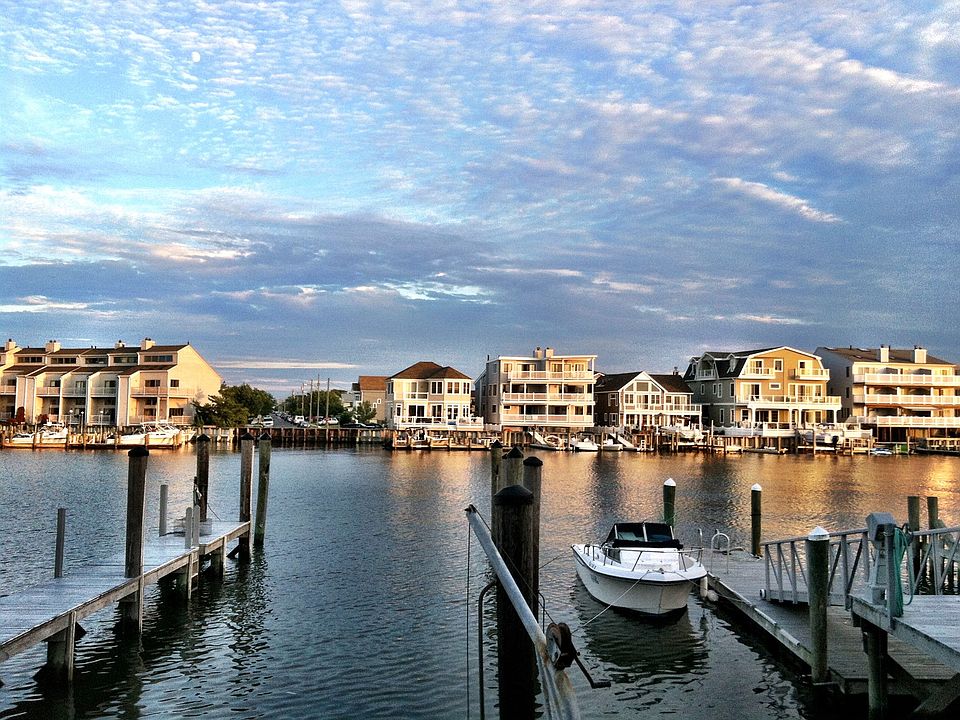 The back yard.