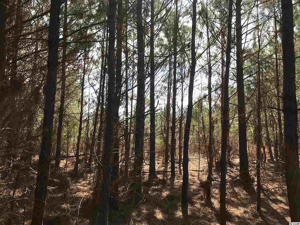 2nd image of TBD Williamson Rd. #QUAIL ROAD
