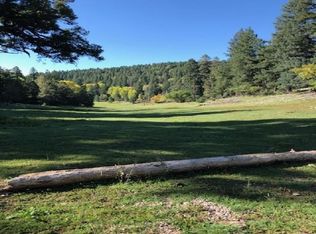 161 Sunspot Hwy, Cloudcroft, NM 88317