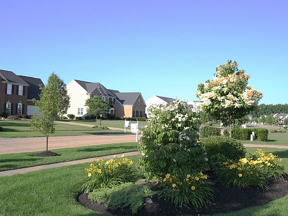 5th image of 33485 Vineyard Park