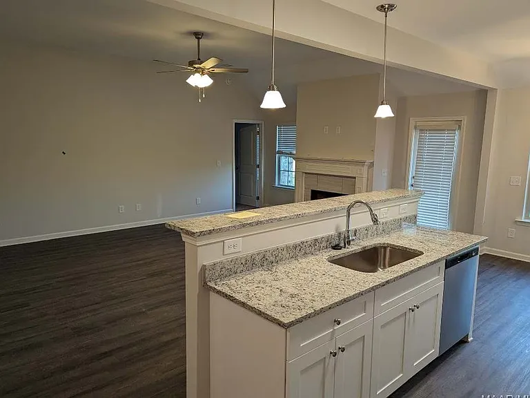 209 Dawsons Mill Way — Photo 4