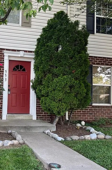 553 Cotswold Ct