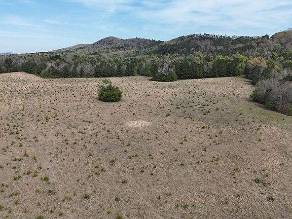 Dji Fly 20260324 145034 0044 1774483701862 Photo