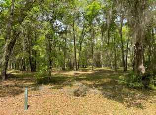 LOT 401 Blackberry Ln NE, Townsend, GA 31331