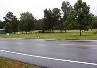1st image of 4470 Nc Highway 109 N