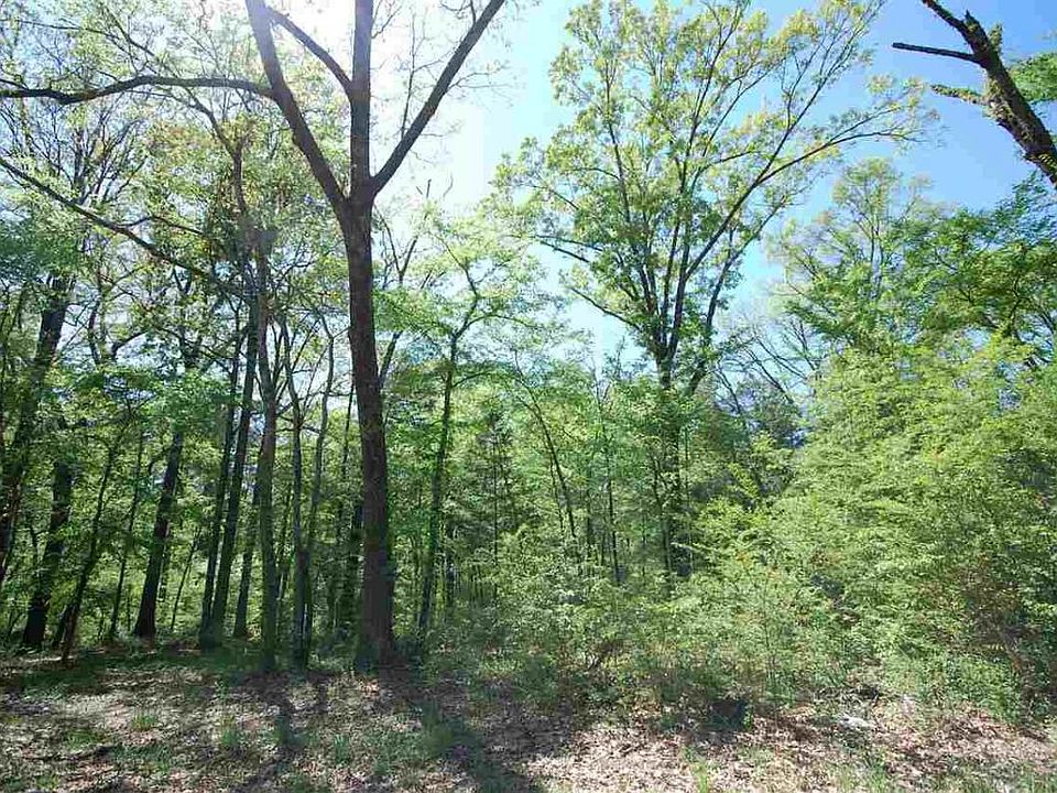 2nd image of 165 Forest Grove Dr