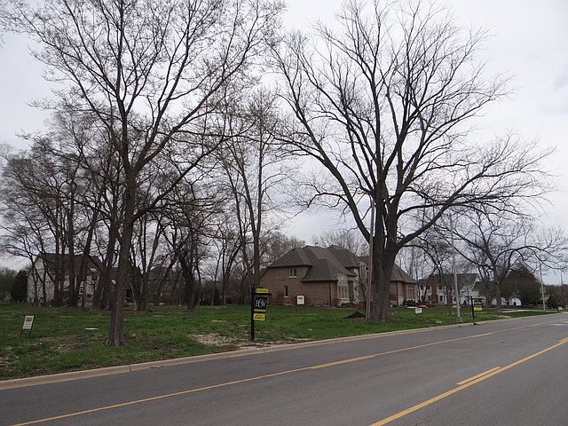 2nd image of 619 Knoch Knolls Rd