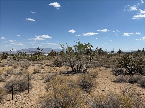 4th image of 18432 Saddle Drive