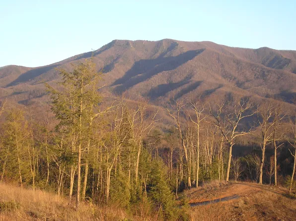 Sonshine Ridge Rd, Cosby, TN 37722
