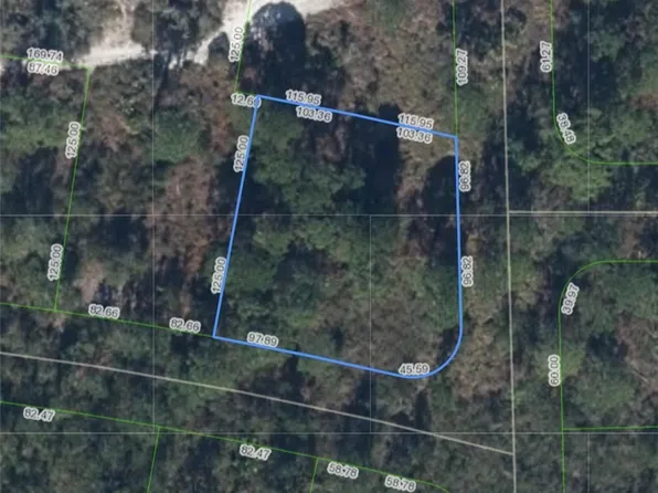 590 Sunrise Ln, Lake Placid, FL 33852