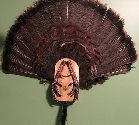 image5 (1)