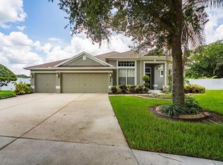 216 Ronja Ln, Valrico, FL 33594