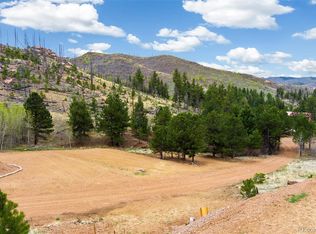 13990 S State Highway 67, Woodland Park, CO 80863