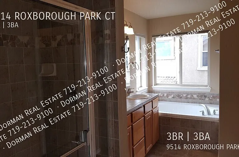 9514 Roxborough Park Ct — Photo 13