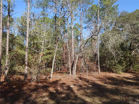 4th image of 8918 N Bengal Way