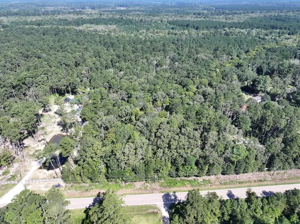 State Highway 42 Lot Wp001, Livingston, LA 70754