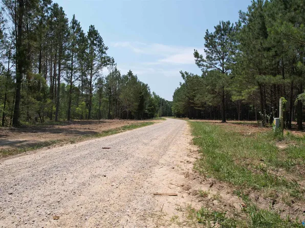 3 County Road 79, Danville, AL 35619