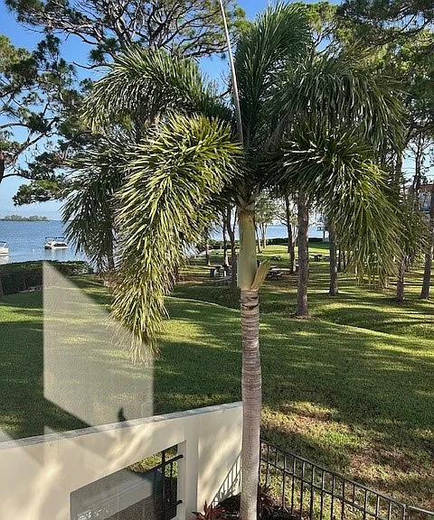 2700 Bayshore Blvd #507 — Photo 13