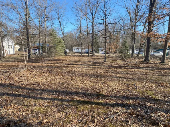 6835 Louise Dr, Indian River, MI 49749