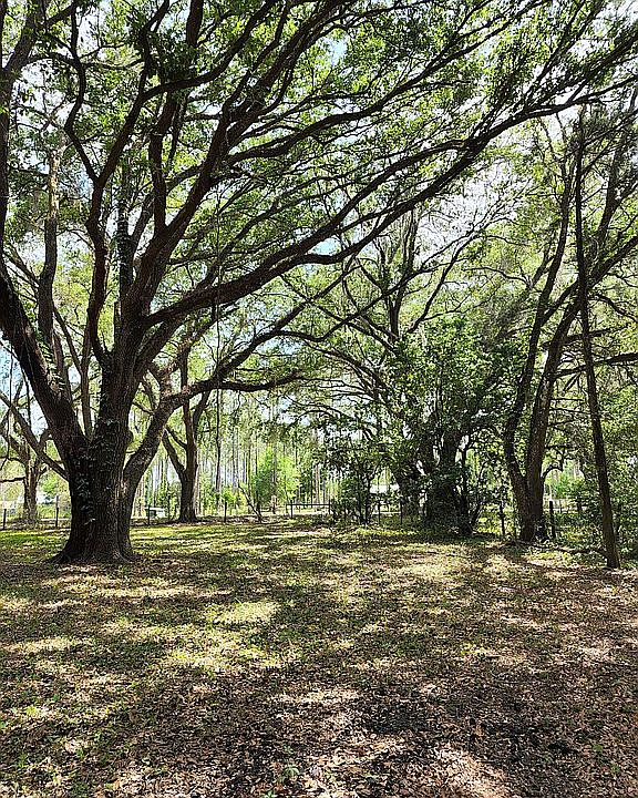 Beautiful cleared land