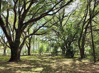 33217 Chancey Rd, Wesley Chapel, FL 33543