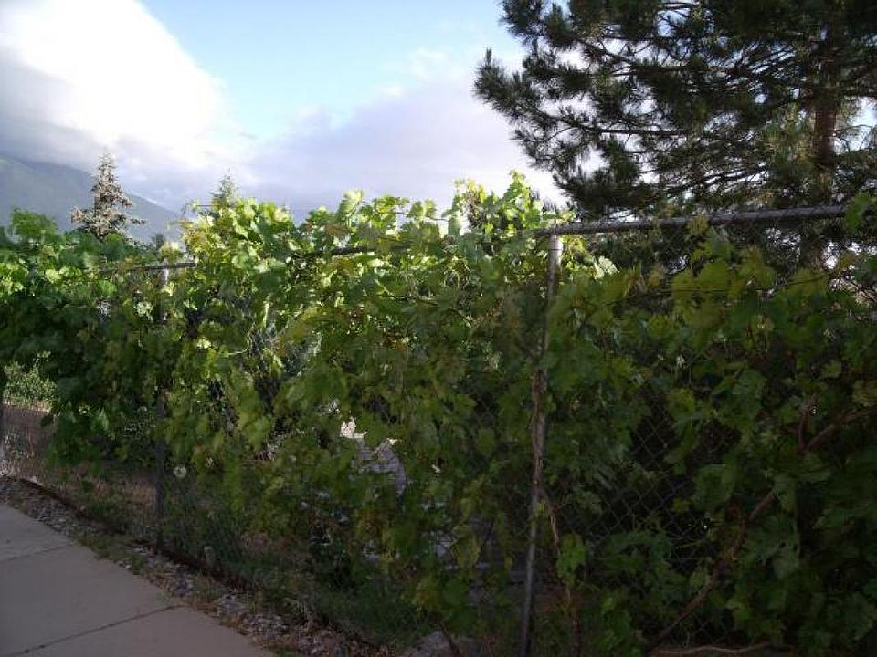 2nd image of 1901 Spring Oaks Dr