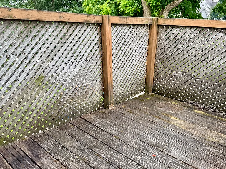 807 Columbus Ave #1 — Photo 12