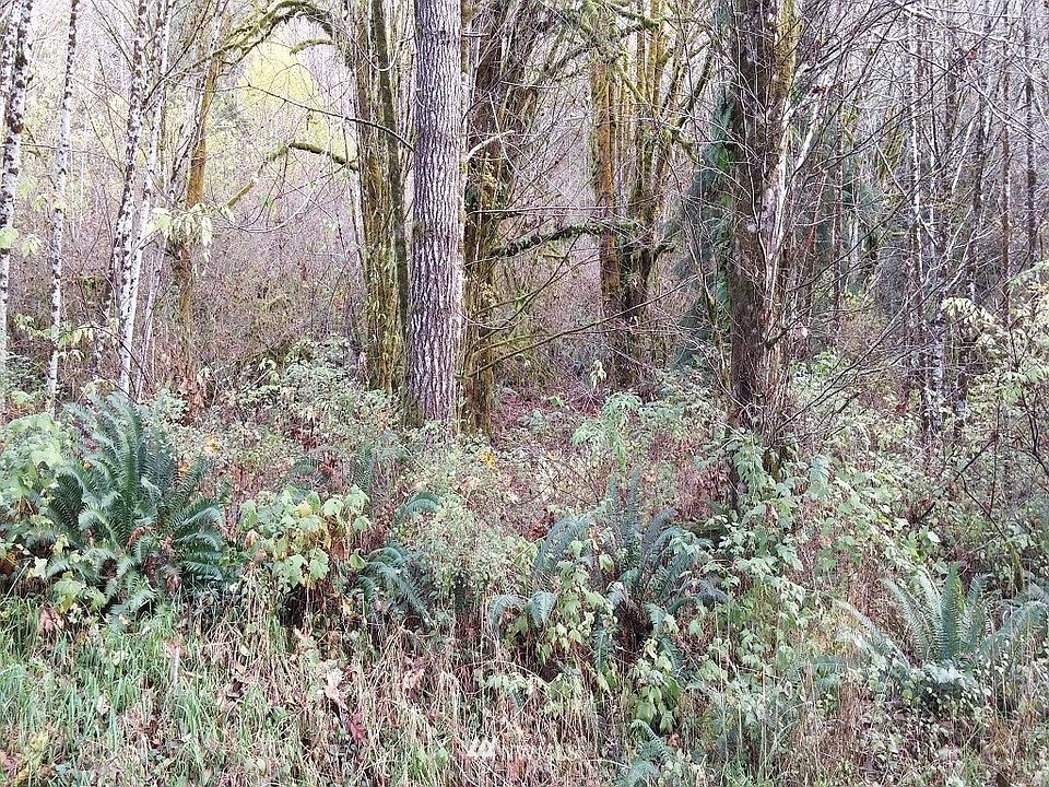 2nd image of 0 Lillie Road