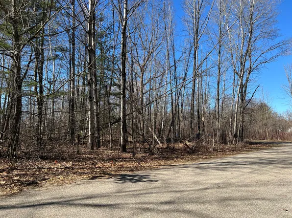 Lots 1 & 2 Breaugh Ct, Houghton Lake, MI 48629